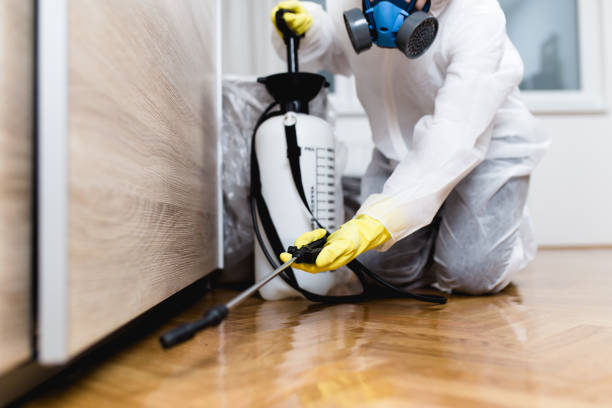 Pest Control for Restaurants in Bourg, LA