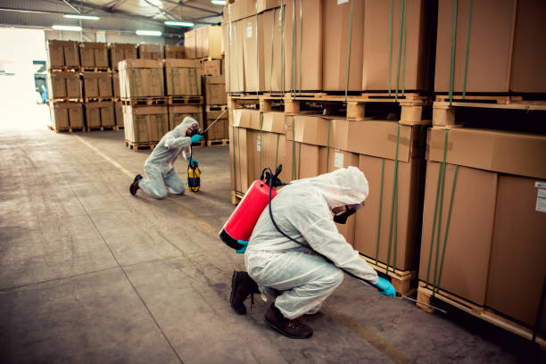 Best Pest Control Cost  in Bourg, LA