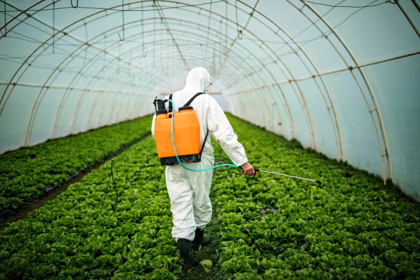 Best Pest Prevention Services  in Bourg, LA