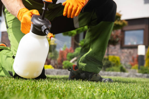 Best Wildlife Control Services  in Bourg, LA