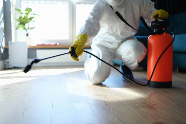 Reliable Bourg, LA Pest Control Solutions