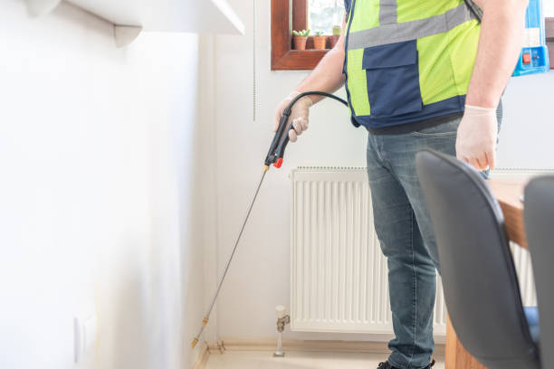 Best Affordable Pest Control Services  in Bourg, LA
