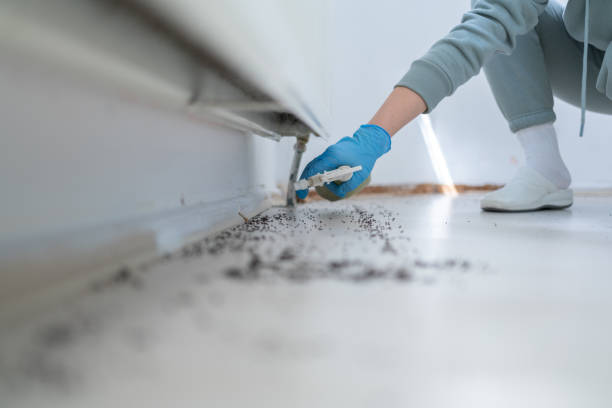 Best Pest Inspection Near Me  in Bourg, LA